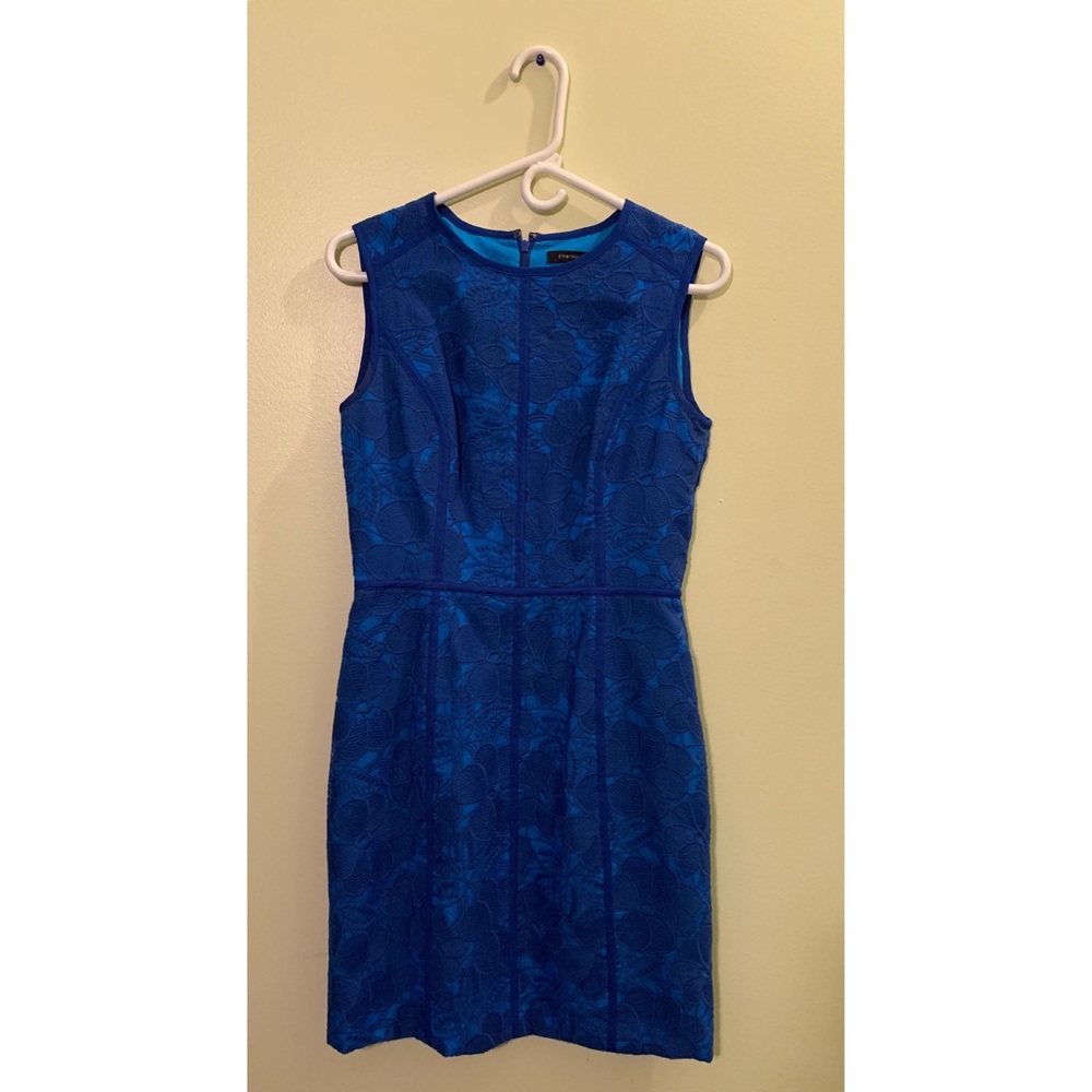 Cynthia Steffe Royal Blue Appliqué Bodycon Dress
